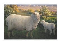 Charolais Bull-James Lynch-Premium Giclee Print