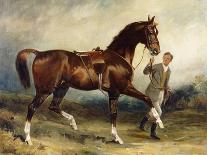 Horse and Groom in a Landscape-James Lynwood Palmer-Giclee Print