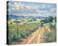 Berry Picking, Mains Of Grey-James McIntosh Patrick-Framed Stretched Canvas