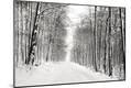 Photographic Print
