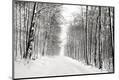 Photographic Print