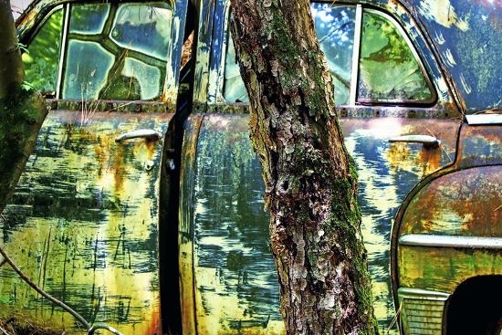 Photographic Print, , large
