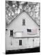 Premium Photographic Print