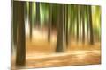 Premium Photographic Print