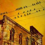 Birds on a Wire I-James McMasters-Art Print