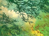 Branches and Clouds-James McMasters-Art Print