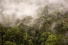 Rain Mist Rising from the Forest Canopy in Danum Valley-James Morgan-Framed Photographic Print