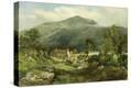 Stretched Canvas Print
