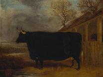 A Black Bull Standing by a Cowshed, an Extensive Landscape Beyond-James Pollard-Giclee Print