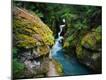 Premium Photographic Print