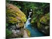 Premium Photographic Print