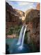 Premium Photographic Print