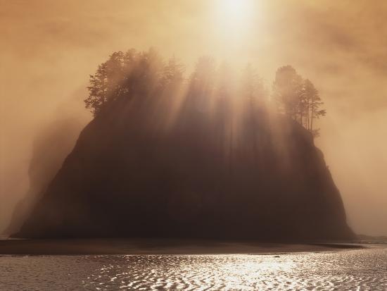 Photographic Print, , large
