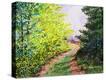 Stretched Canvas Print