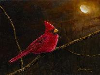 Cardinal In The Moonlight-James Redding-Art Print