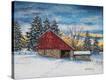Stretched Canvas Print