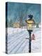Stretched Canvas Print