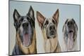 Premium Giclee Print