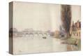 Stretched Canvas Print