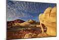 Photographic Print