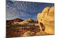 Photographic Print
