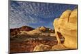 Photographic Print