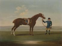 Race Horses Owned by Ambrose Phillips, 1747 (Oil on Canvas)-James Seymour-Giclee Print