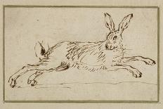 A Hare Running, with Ears Pricked (Pen and Ink on Paper)-James Seymour-Giclee Print