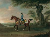 Race Horses Owned by Ambrose Phillips, 1747 (Oil on Canvas)-James Seymour-Framed Giclee Print