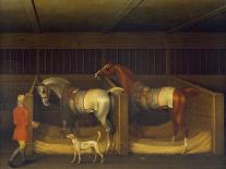A Chestnut Horse (Possibly Old Partner) Held by a Groom-James Seymour-Giclee Print