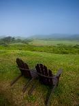 Adirondack Chairs on Lawn at Martha's Vineyard with Fog over Trees in the Distant View-James Shive-Photographic Print