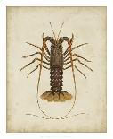 Crustaceans II-James Sowerby-Giclee Print