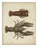 Water Scorpion, Water Boatman, Dragonfly-James Sowerby-Art Print