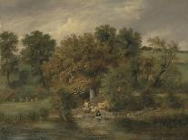 A Wooded Landscape, 1828 (Oil on Panel)-James Stark-Giclee Print