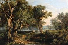 A Wooded Landscape, 1828 (Oil on Panel)-James Stark-Giclee Print