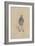 James Steerforth, C.1920s-Joseph Clayton Clarke-Framed Giclee Print