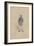 James Steerforth, C.1920s-Joseph Clayton Clarke-Framed Giclee Print