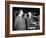 James Stewart & Alfred Hitchcock (b/w photo)-null-Framed Photo