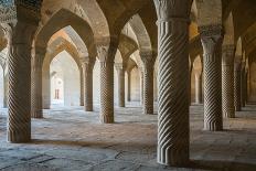 The 48 carved column prayer hall, Masjed-e Vakil (Regent's Mosque), Shiraz, Iran, Middle East-James Strachan-Photographic Print