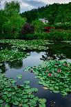 Waterlies in Front of Monet's House, Giverny, Normandy, France, Europe-James Strachan-Photographic Print