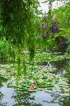 Weeping Willow and Waterlilies, Monet's Garden, Giverny, Normandy, France, Europe-James Strachan-Photographic Print