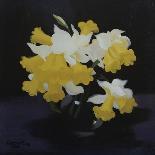Daffodils-James Stuart Park-Giclee Print