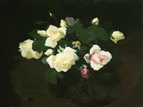 Roses-James Stuart Park-Framed Giclee Print