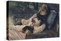 Stretched Canvas Print