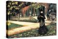 Stretched Canvas Print