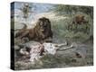 Stretched Canvas Print