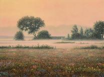 Misty Morning-James W Johnson-Giclee Print