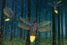 Night Light Flight-James W. Johnson-Giclee Print