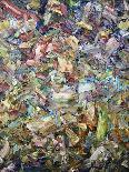 Roadside Fragmentation-James W Johnson-Giclee Print