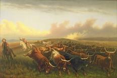 Cattle Roundup, C.1878 (Oil on Canvas)-James Walker-Giclee Print